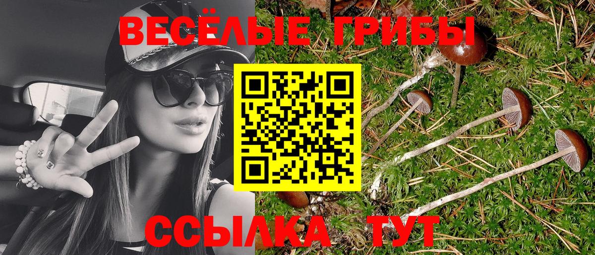 Галлюциногенные грибы мухоморы Крымск