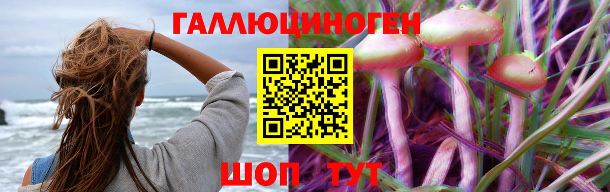 Псилоцибиновые грибы ЛСД  купить  сайты  Вход с VPN  Крымск  Псилоцибиновые грибы Psilocybine cubensis 